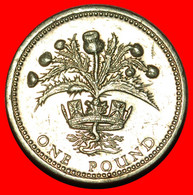 * THISTLE: GREAT BRITAIN ★ 1 POUND 1984! LOW START ★ NO RESERVE! - 1 Pound