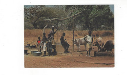 AFRIQUE THE GAMBIA  AT VILLAGE  WELL    BELLE ANIMATION       ***    A  SAISIR  **** - Gambia