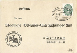 20 117 Postkarte Bahnpost "BERLIN-KÖNIGSBERG N.M." 1931 - Officials