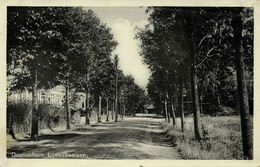 Nederland, DOETINCHEM, Lijsterbeslaan (1937) Ansichtkaart - Doetinchem