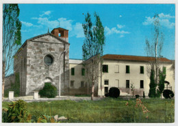 MONZA  BRIANZA   BRUGORA  DI  BESANA   CHIESA  S. PIETRO   (VIAGGIATA) - Monza