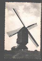 Meerhout - De Molen Weversberg - Moulin / Mill - Meerhout