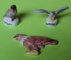 Lot 3 Fèves RAPACES - Aigle, Chouette D'Harry Potter, Circaete Jean Le Blanc Du WWF Magasin Champion - Années 2000 - Animals