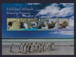 Falkland Islands 2008 Breeding Penguins S/S MNH - Falkland