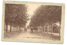 CPA ALGERIE BLIDA AVENUE DE LA GARE VIEILLE EDITION ENCADREE  RARE BELLE CARTE !! - Blida