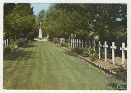 80 - Moislains - Cimetière Charentais - Moislains