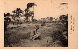 GUINÉ  BISSAU - Récolte De L'arachide - Guinea-Bissau