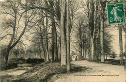 Surgères * La Promenade Des Marronniers - Surgères