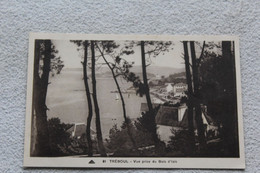Delcampe - B550, Tréboul, Vue Prise Du Bois D'Isis, Finistère 29 - Tréboul