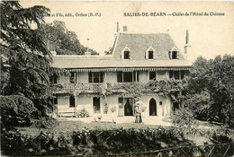 Salies De Béarn * Châlet Villa De L'hôtel Du Château - Salies De Bearn