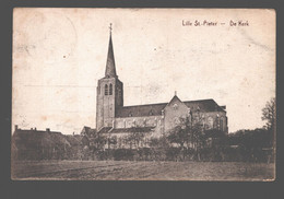 Lille / Lille St.-Pieter - De Kerk - Lille