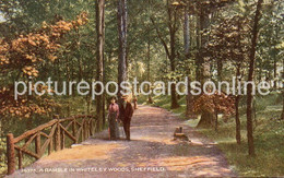 SHEFFIELD A RAMBLE IN WHITELEY WOODS OLD COLOUR POSTCARD YORKSHIRE - Sheffield