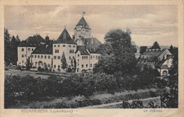 Colmar-Berg Château Oblitération - Colmar – Berg