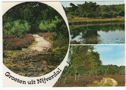 Groeten Uit Nijverdal - (Nederland) - Zandpad, Ven, Berken E.d. - Nr. L 3043 - Nijverdal