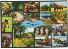Nijverdal - (Nederland) - Boeren, Paarden, Vos E.d. - Nr. L 7861 - Nijverdal
