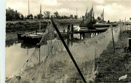 Meschers Sur Gironde * Le Port Et Les Filets à Esturgeons * Bateau MAITERO * Pêche Pêcheurs - Meschers