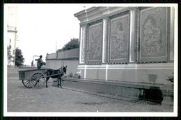 ELVAS - CHAFARIZES E FONTES - Fonte Da Piedade. ( Ed. Da Livraria Papelaria Rego Nº 11) Carte Postale - Portalegre