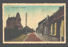 Wintam (Hingene) - Eg. De Jonghestraat - Bornem