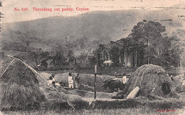 CEYLON - THRESHING OUT PADDY ~ AN OLD POSTCARD WITH WAR STAMPS #2148111 - Sri Lanka (Ceylon)