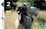 Latvia , Lettland , Lettonia - WWF   Horse  Wildlife  USED PHONE CARD - Lettonia