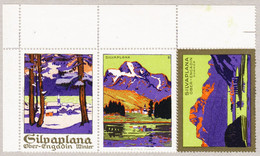 Um 1920 Reklamevignette Der Firma Hofer & Co. AG, Zürich. Silvaplana, 3 Verschiedene Zusammenhängend. Mit Vollem - Revenue Stamps