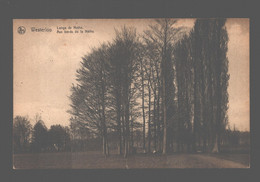 Delcampe - Westerlo / Westerloo - Langs De Nethe - Westerlo