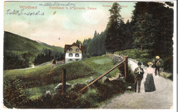 Wildbad - Forsthaus B.d. Grossen Tanne (Hotel Concordia) V.1906  (5125) - Schömberg
