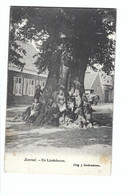 Zoersel  -  De Lindeboom  Uitg. J. Derkinderen - Zoersel