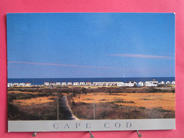 Etats-Unis - Cape Cod - Patterns Of Tourism - Provincetown - R/verso - Cape Cod