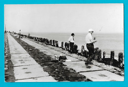 Hoek Van Holland: Vissers Op De Pier - Hoek Van Holland