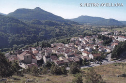 (QU199) - SAN PIETRO AVELLANA (Isernia) - Panorama - Isernia