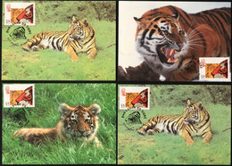 MACAU 1998 ZODIAC YEAR OF THE TIGER MAX CARD X 4 - 2 IS WWF CARDS - Cartoline Maximum