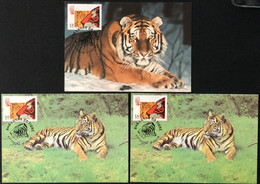 MACAU 1998 ZODIAC YEAR OF THE TIGER MAX CARD X 3 - 1 IS WWF CARD - Maximumkaarten