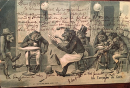 Cpa Gaufrée écrite En 1903, La Terrasse De Café, Illustration Singes Habillés, éd KF N°337, Cachets Timbre - Dressed Animals