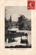 Bernay (Eure) Vallée De La Charentonne, Vaches Dans La Rivière - Collection Walter - Bernay