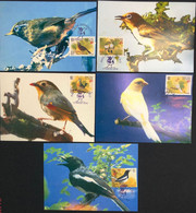 MACAU - 1995 PET BIRDS MAX CARDS SET OF 5 - Maximum Cards