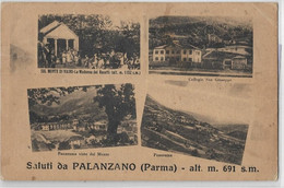 9-PALANZANO-(PARMA).ALT.M.691 S.M.-SALUTI DA.........VEDUTINE - Parma