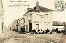 181 -  BRAY Sur SEINE : HOTEL DU LION D'OR - Prop. Noel FORTIN  (dispatu ??) Circilée En 1905 - Bray Sur Seine