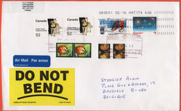 CANADA - 2005 - 2 X Guide Dogs + IHF + 2 X 1c Hippodamia Convergens + 2 X 10c - Medium Envelope - Viaggiata Da Saint-Nic - Brieven En Documenten