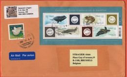 CANADA - 2007 - BF Endangered Species + 1,55$ Christmas - Medium Envelope - Viaggiata Da Verona Per Brussels, Belgium - Cartas & Documentos