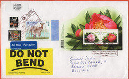 CANADA - 2008 - BF Pivoines, Peonies + 1$ White-tailed Deer + 1c + 25c Hyalophora Cecropia - Medium Envelope - Viaggiata - Lettres & Documents