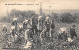 29-PLOUGASTEL-DAOULAS- LA CUEILLETTE DES FRAISES - Plougastel-Daoulas