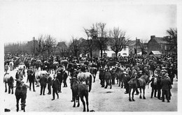 29-LANDIVISIAU- LE CHAMP DE FOIRE - Landivisiau