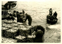 La Turballe * Reotur De Pêche à La Sardine * Sardiniers Pêcheurs - La Turballe