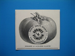(1931) Publicité Graines VILMORIN-ANDRIEUX - Pubblicitari