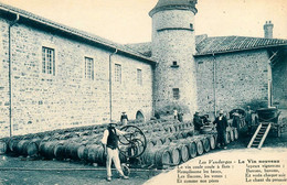 Les Vendanges : Le Vin Nouveau * Thème Vignes Vendangeurs Viticulture Vituculteur - Vignes