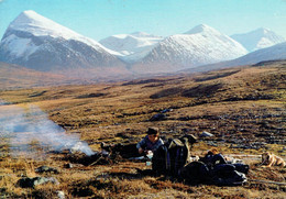 LAPPLAND : Rast I Sarek - Finlande