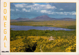 DONEGAL  ( IRLANDE ) - Donegal