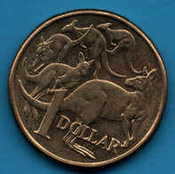 AUSTRALIA 1 DOLLAR 2013 KM# 489 Kangourous - Dollar