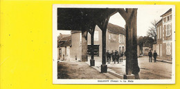 MALIGNY La Halle (Basuyau) Yonne (89) - Otros Municipios